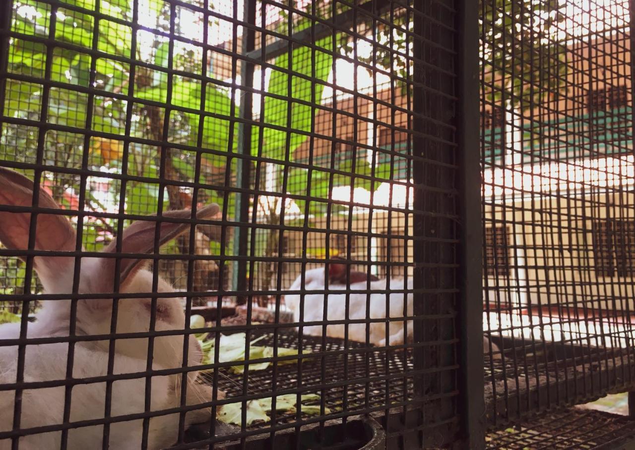 Palm Grove Service Villa Kochi Екстериор снимка