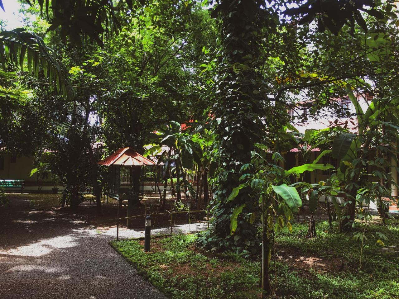 Palm Grove Service Villa Kochi Екстериор снимка