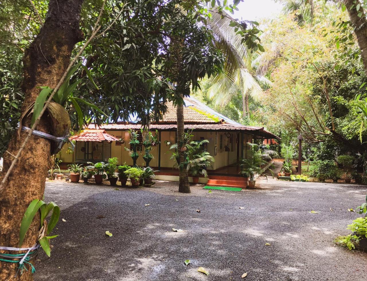Palm Grove Service Villa Kochi Екстериор снимка