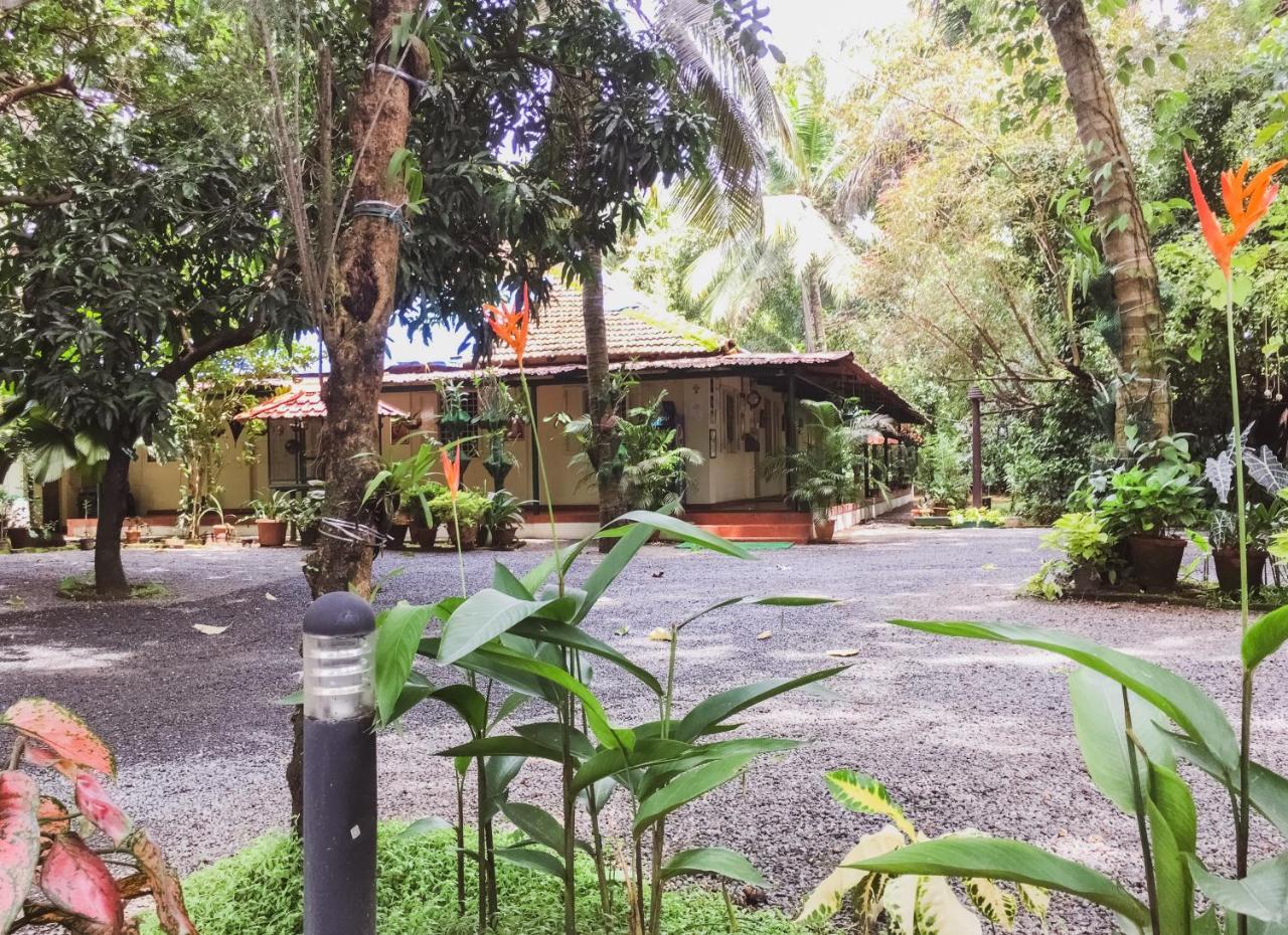 Palm Grove Service Villa Kochi Екстериор снимка